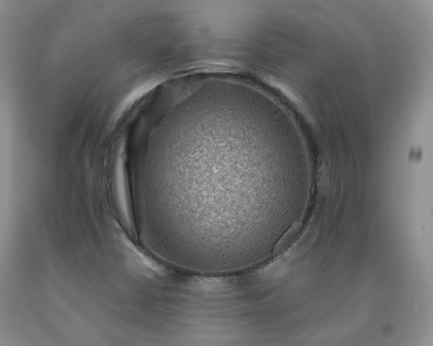 X0000091961402200709201334