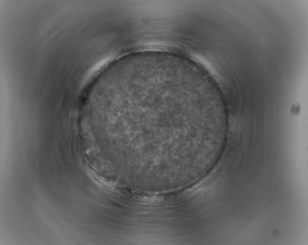 X0000091961403200709201334