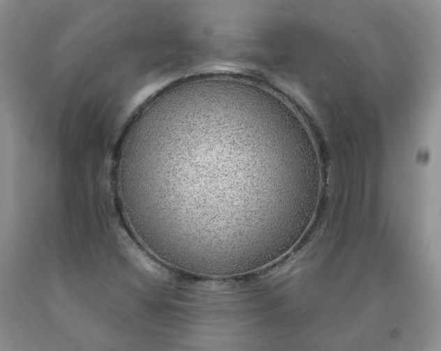 X0000091961404200709201334