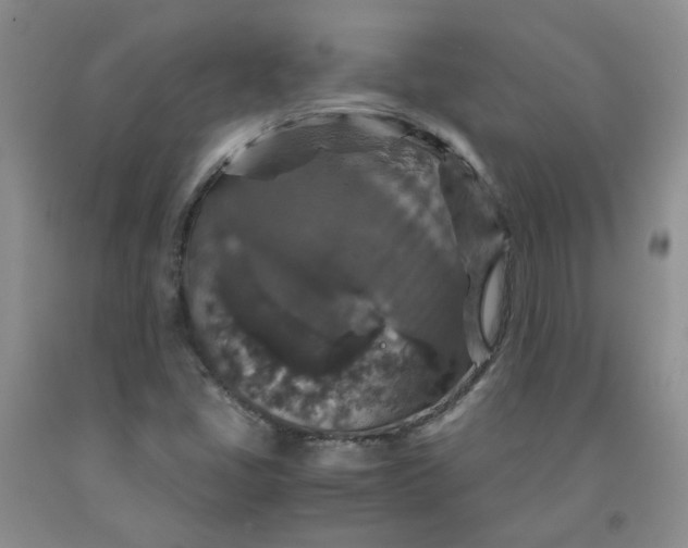 X0000091961405200709201334