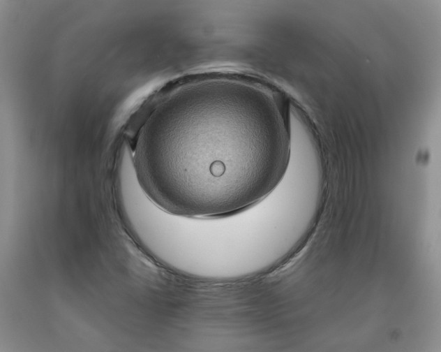 X0000091961406200709201334