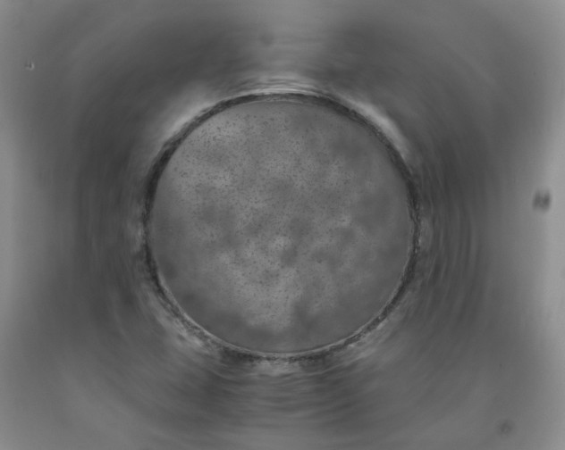 X0000091961407200709201334