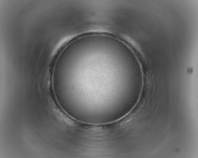 X0000091961408200709201334