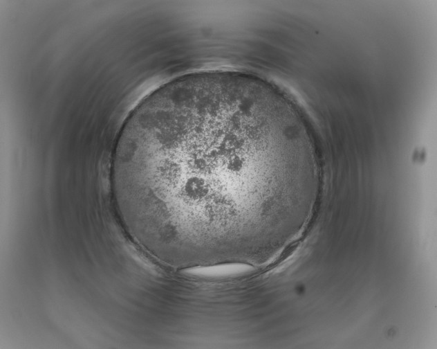 X0000091961409200709201334