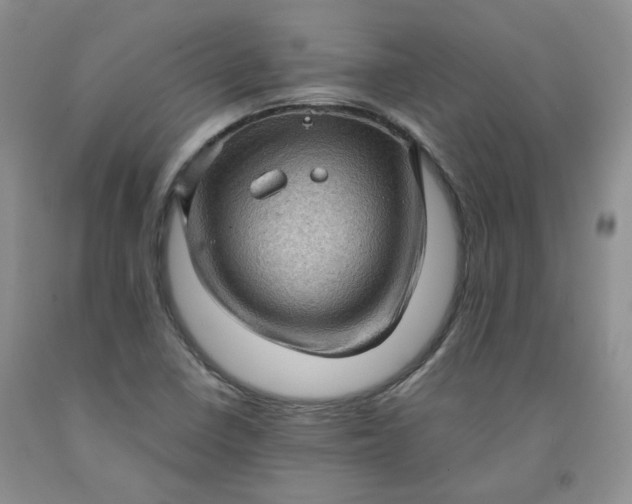 X0000091961410200709201334