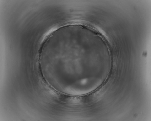 X0000091961411200709201334