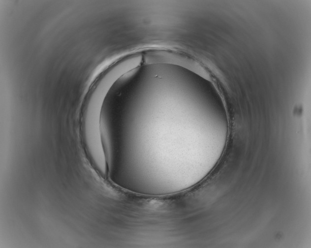 X0000091961412200709201334