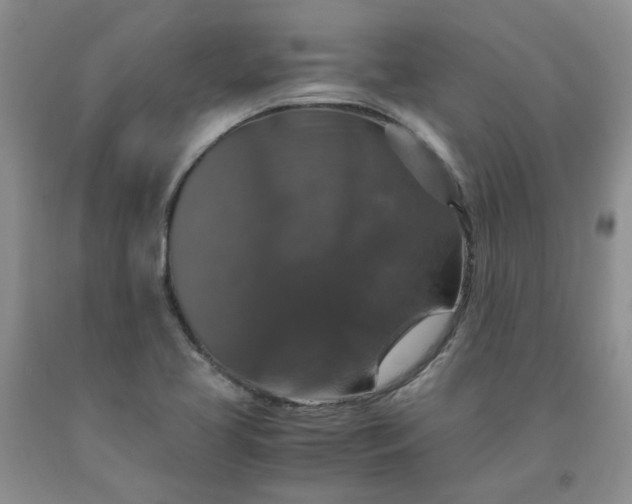 X0000091961413200709201334