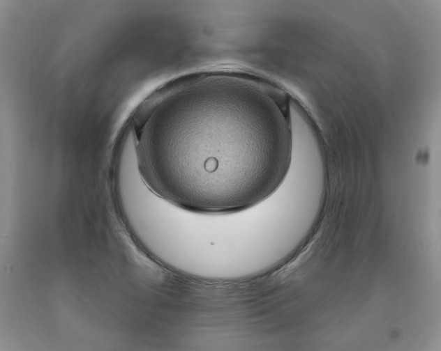 X0000091961414200709201334