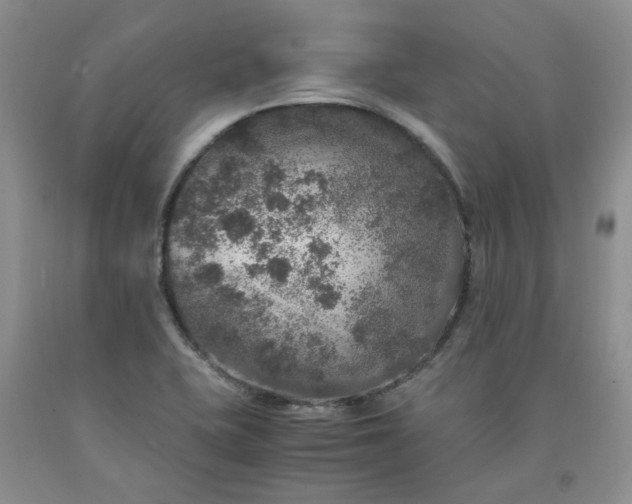 X0000091961415200709201334