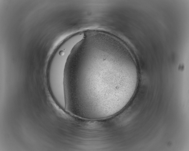 X0000091961416200709201334