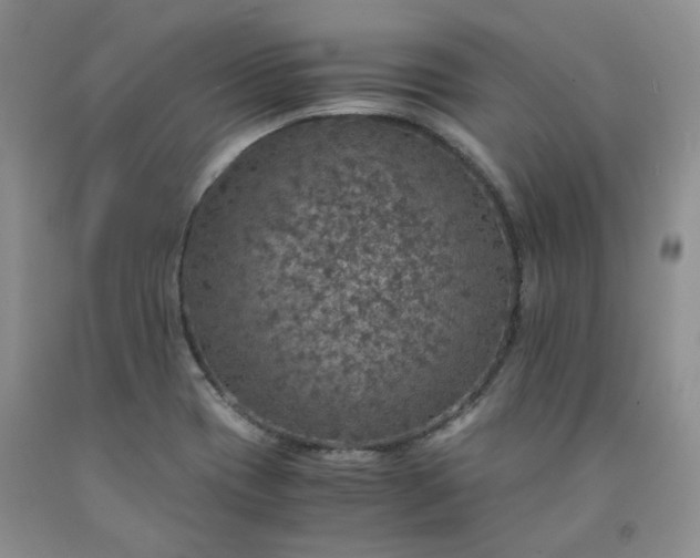 X0000091961417200709201334