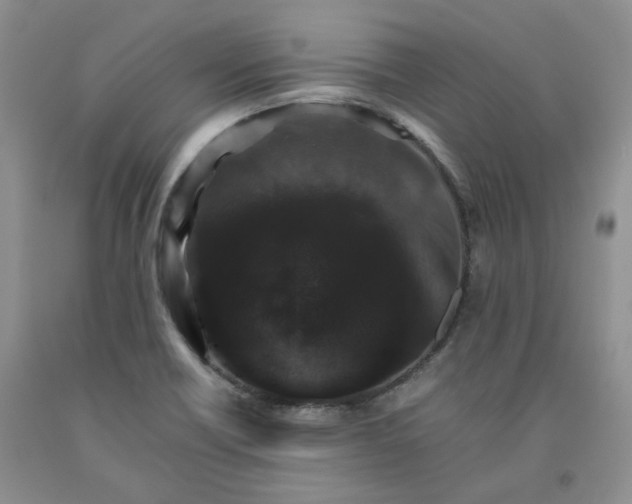 X0000091961418200709201334