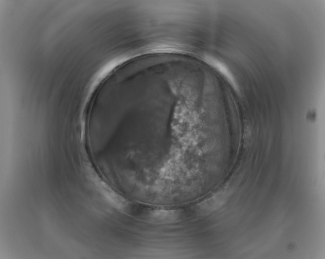 X0000091961419200709201334