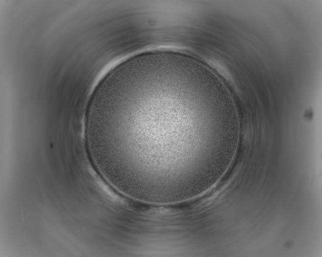 X0000091961420200709201334