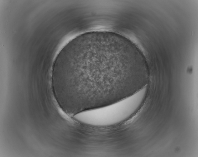 X0000091961421200709201334