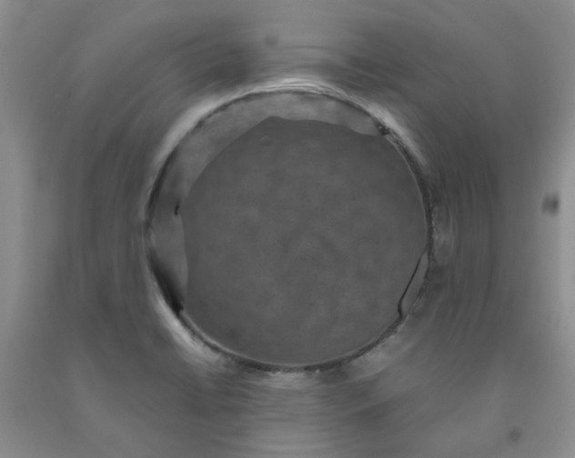 X0000091961422200709201334