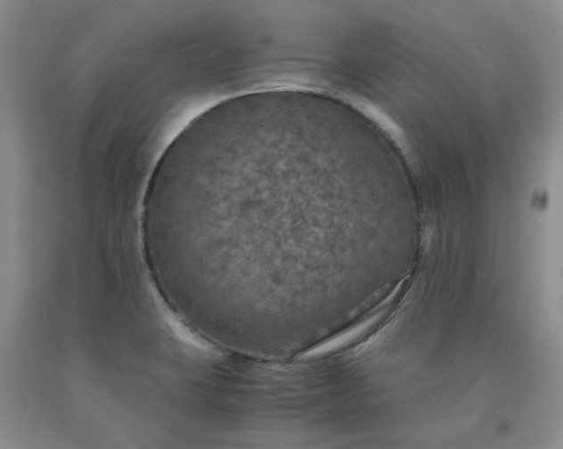 X0000091961423200709201334