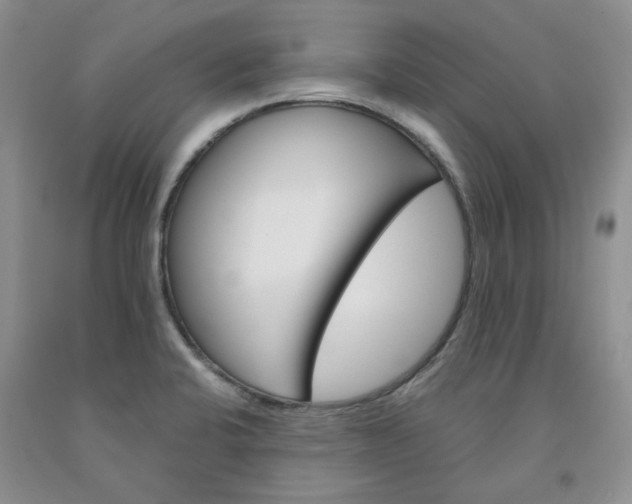 X0000091961424200709201334