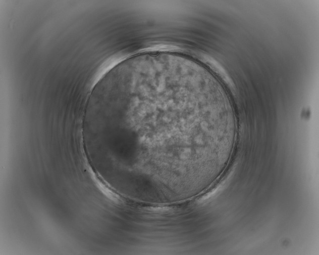 X0000091961425200709201334