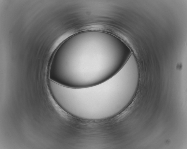 X0000091961426200709201334