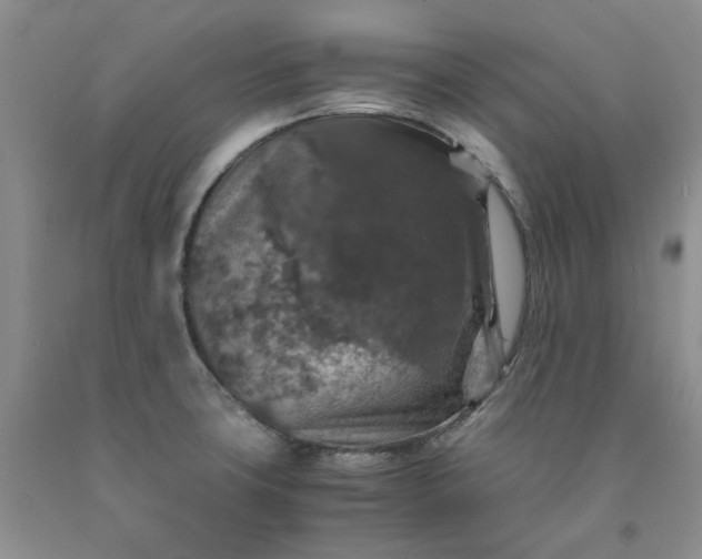 X0000091961427200709201334