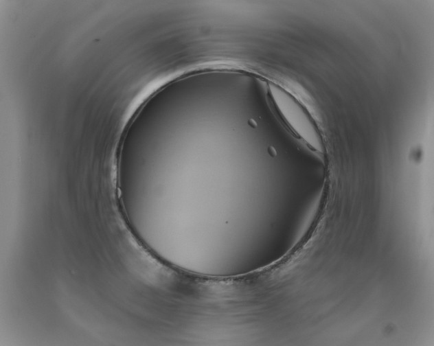 X0000091961428200709201334