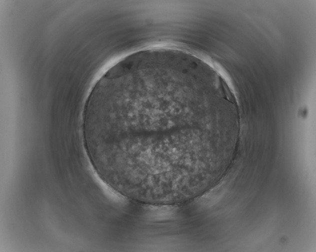 X0000091961429200709201334