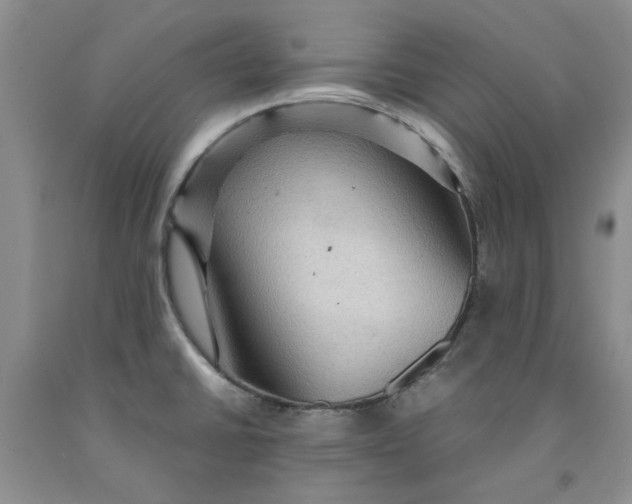 X0000091961430200709201334