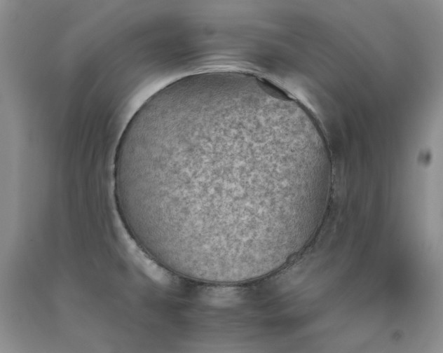 X0000091961431200709201334