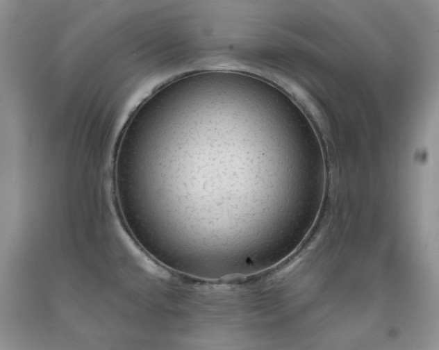 X0000091961432200709201334