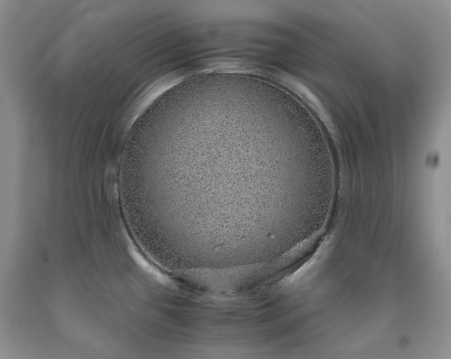 X0000091961433200709201334