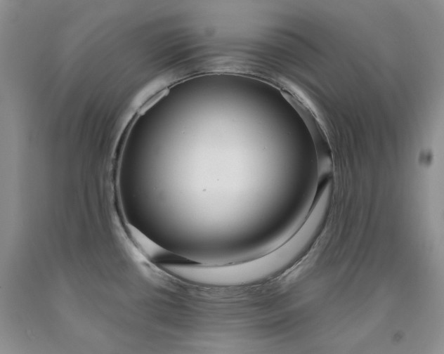 X0000091961434200709201334