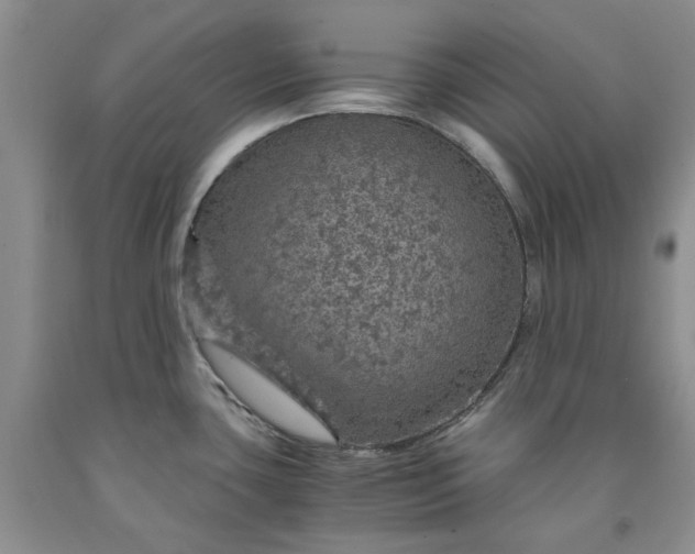 X0000091961435200709201334