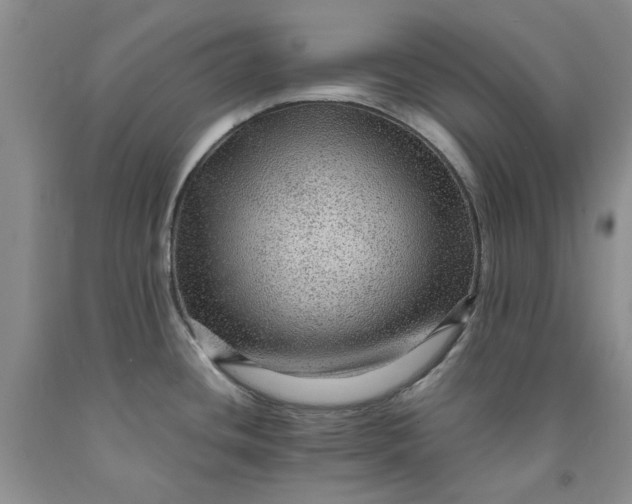 X0000091961436200709201334