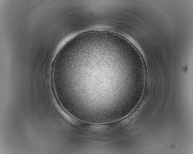 X0000091961437200709201334