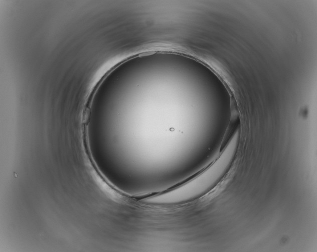 X0000091961438200709201334