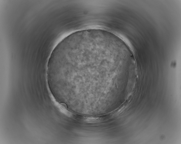 X0000091961439200709201334