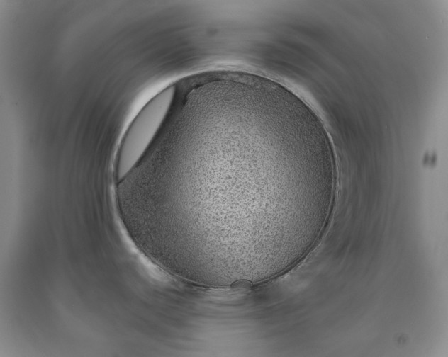 X0000091961440200709201334