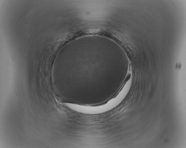 X0000091961441200709201334