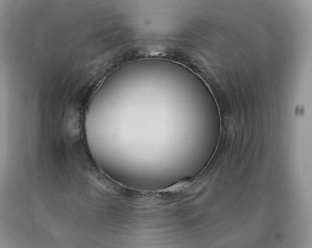 X0000091961442200709201334