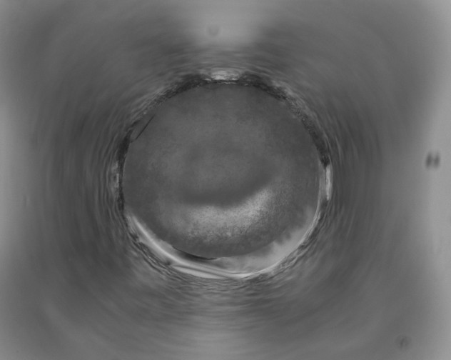 X0000091961443200709201334