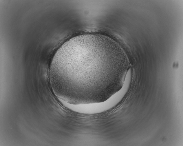 X0000091961444200709201334