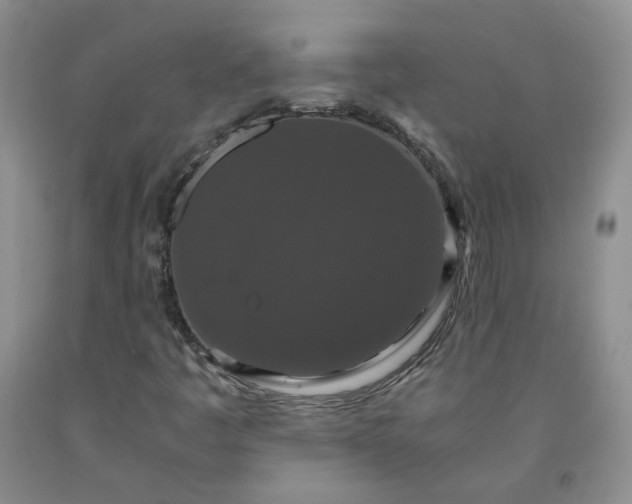 X0000091961445200709201334