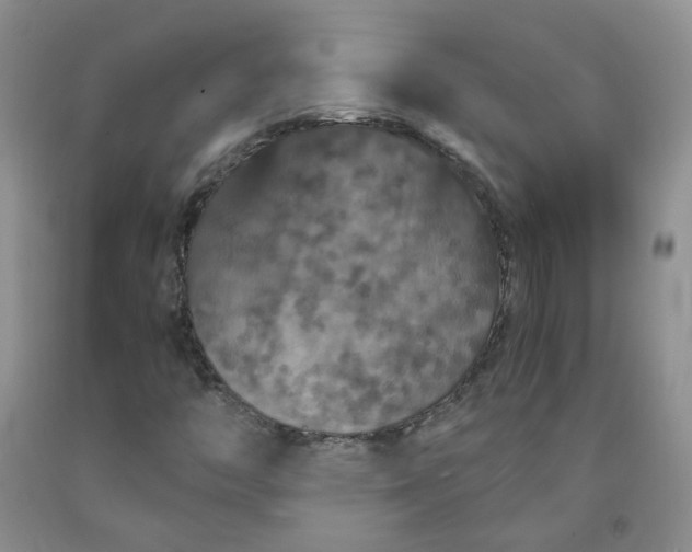 X0000091961446200709201334