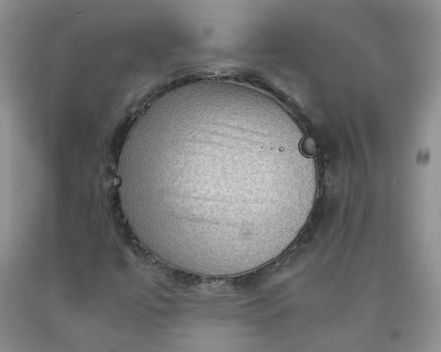 X0000091961447200709201334