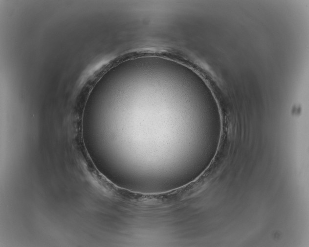 X0000091961448200709201333