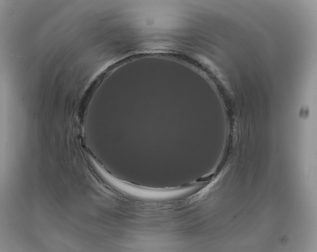 X0000091961449200709201333