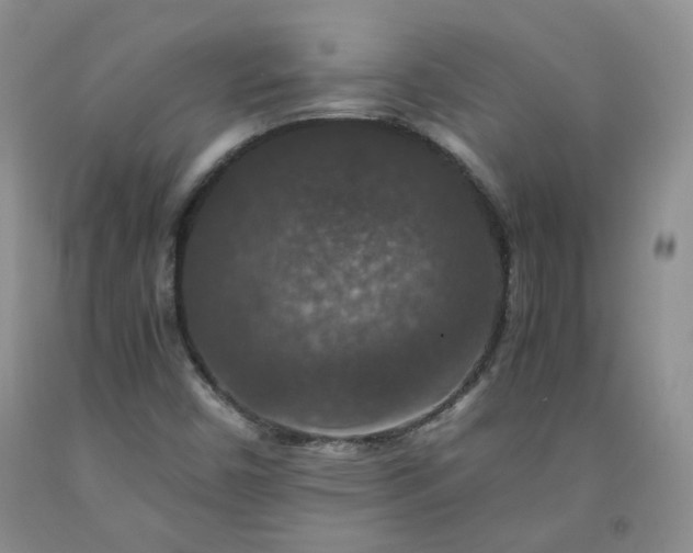 X0000091961450200709201333