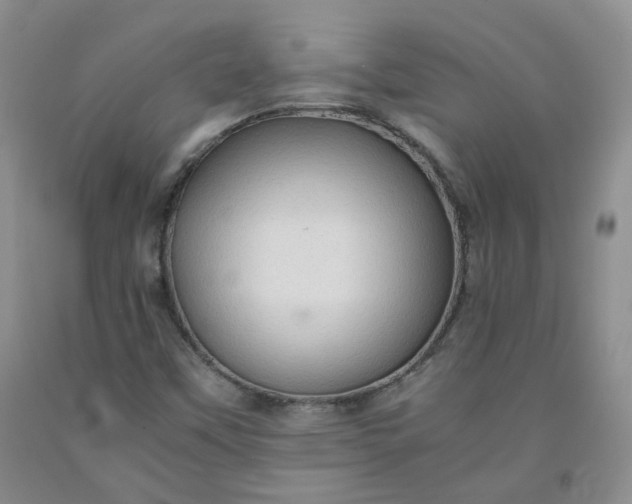 X0000091961451200709201333